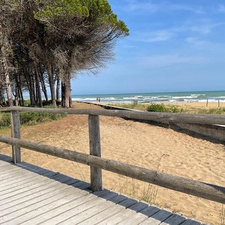 Malibu Apartments Bibione Exteriér fotografie